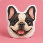 Cojín Mascota Anime Personalizado