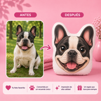 Cojín Mascota Anime Personalizado