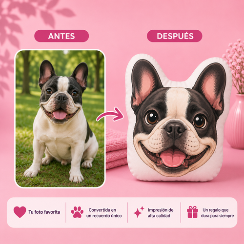 Cojín Mascota Anime Personalizado