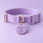 Collar NFC personalizado para mascota