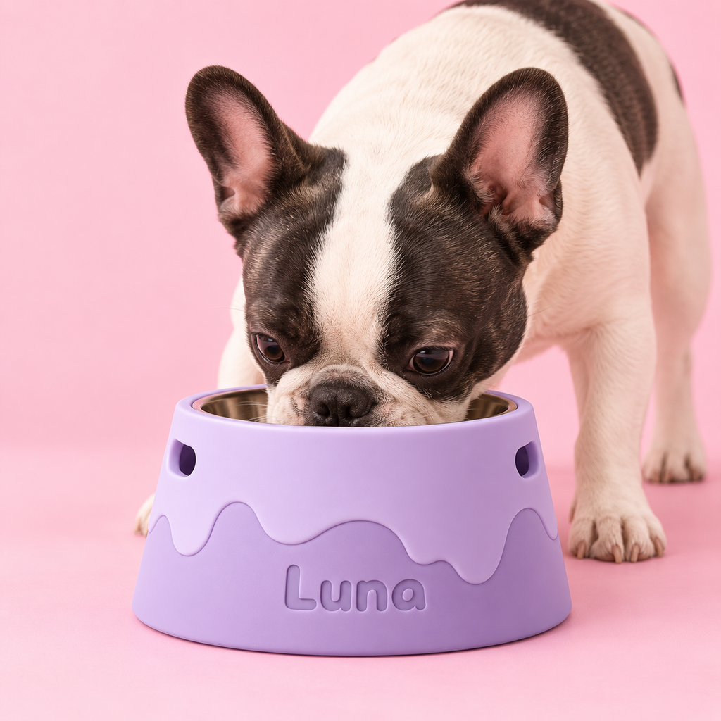 Bowl para mascota 3D personalizado