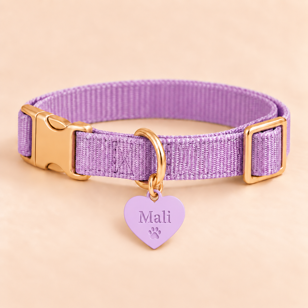 Collar NFC personalizado para mascota