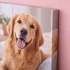 Detalle de la esquina de un cuadro de lienzo personalizado con la foto de un perro