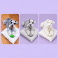 Tu mascota en 3D