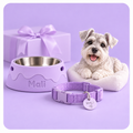 Megapack especial 3D de tu Mascota