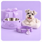 Megapack especial 3D de tu Mascota